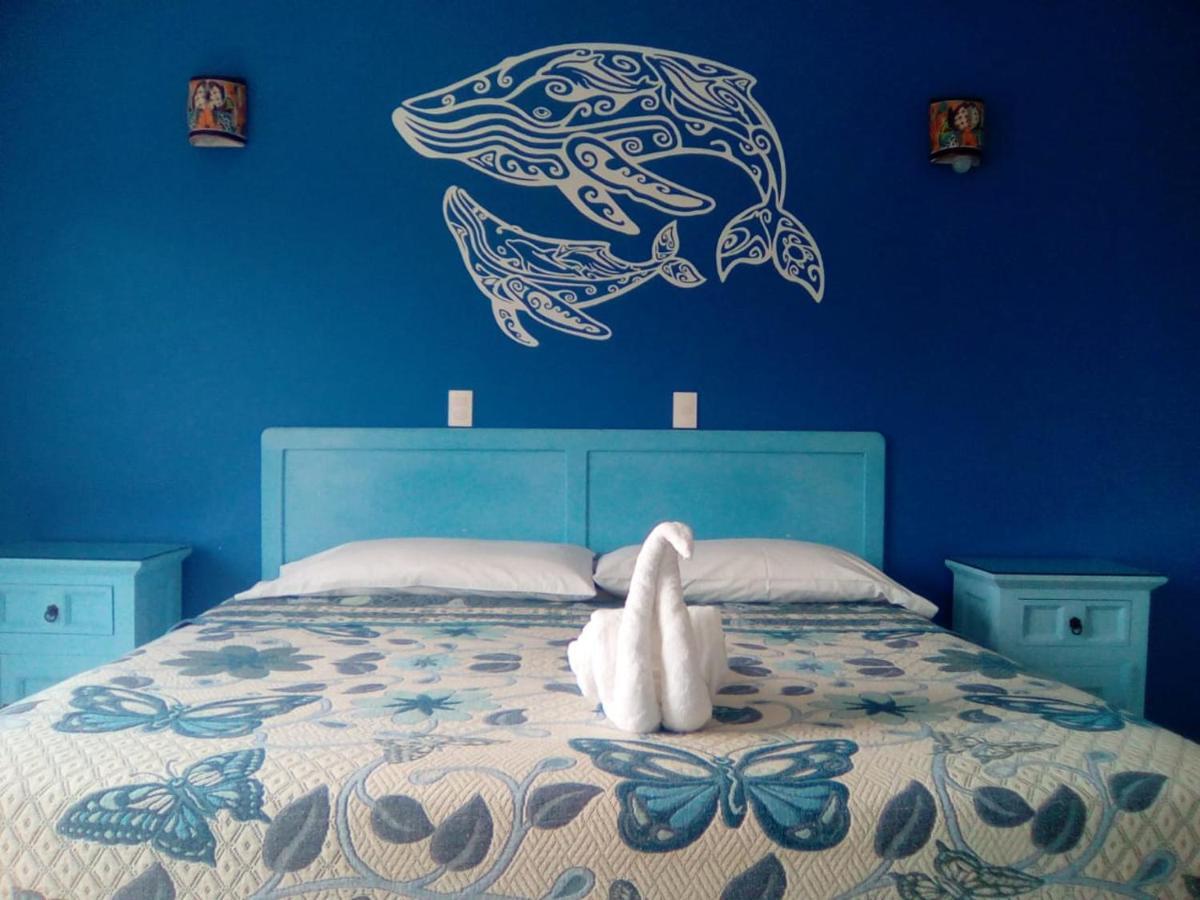 Hotel Quinta Mar Y Selva Чакала Екстериор снимка